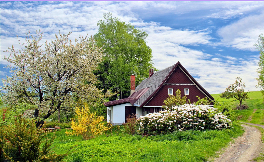 15 Beautiful English Cottage Garden Ideas to Transform Your Yard