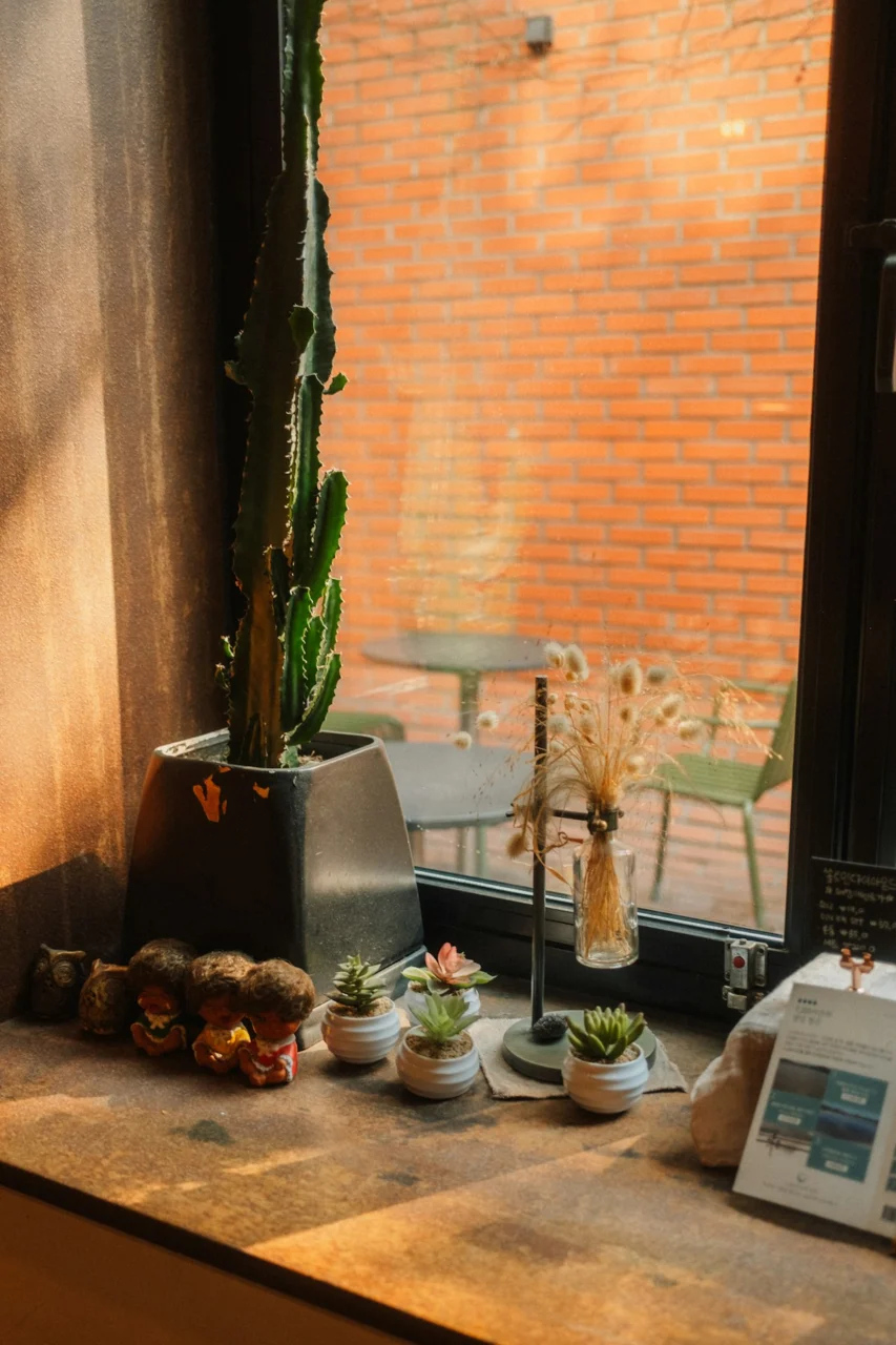 A tall cactus in a pot beside small succulents and figurines on a windowsill